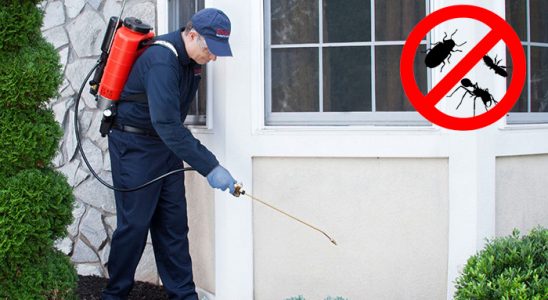 Kumlu Gümüşkurt İlaçlama böcek ilaçlama ve haşere kontrolü — ilaclama-tr.com